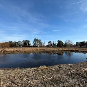 Photo #27 of Off Center Road, Bladenboro, NC 30.8 acres