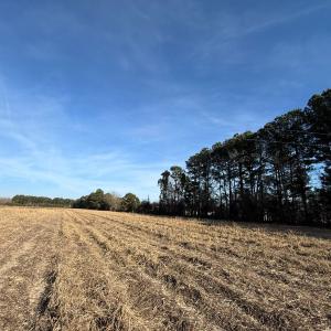 Photo #28 of Off Center Road, Bladenboro, NC 30.8 acres
