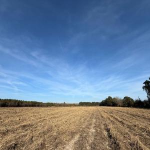 Photo #29 of Off Center Road, Bladenboro, NC 30.8 acres