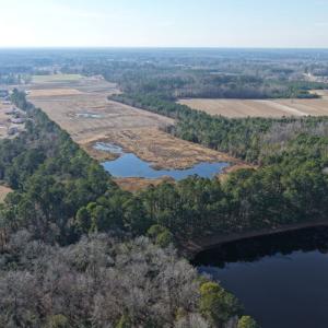 Photo #31 of Off Center Road, Bladenboro, NC 30.8 acres