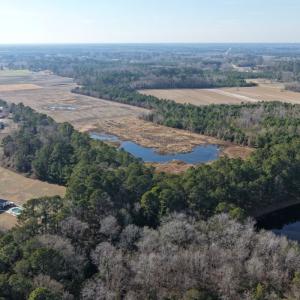 Photo #32 of Off Center Road, Bladenboro, NC 30.8 acres