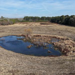 Photo #46 of Off Center Road, Bladenboro, NC 30.8 acres