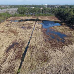 Photo #47 of Off Center Road, Bladenboro, NC 30.8 acres