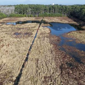 Photo #48 of Off Center Road, Bladenboro, NC 30.8 acres