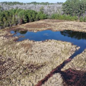 Photo #49 of Off Center Road, Bladenboro, NC 30.8 acres