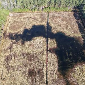 Photo #50 of Off Center Road, Bladenboro, NC 30.8 acres