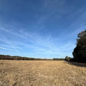 Photo #51 of Off Center Road, Bladenboro, NC 30.8 acres