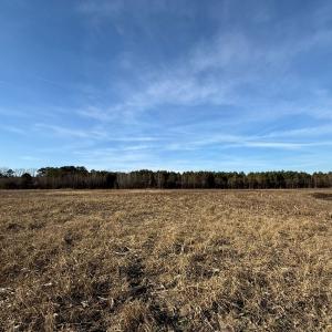 Photo #52 of Off Center Road, Bladenboro, NC 30.8 acres