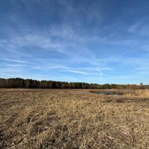 Photo #53 of Off Center Road, Bladenboro, NC 30.8 acres