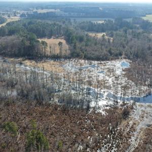 Photo #11 of Off JA Carroll Road, Bladenboro, NC 44.4 acres