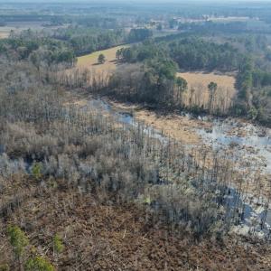 Photo #12 of Off JA Carroll Road, Bladenboro, NC 44.4 acres