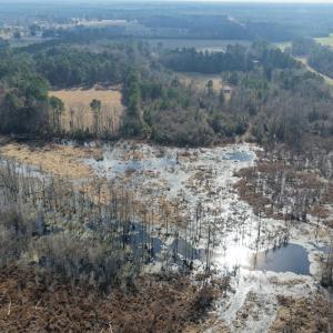 Photo #13 of Off JA Carroll Road, Bladenboro, NC 44.4 acres