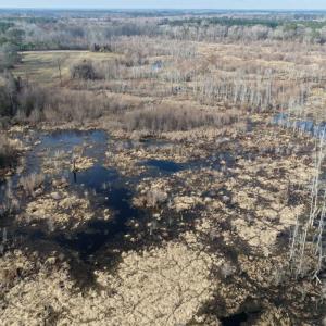 Photo #15 of Off JA Carroll Road, Bladenboro, NC 44.4 acres