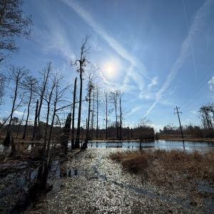 Photo #17 of Off JA Carroll Road, Bladenboro, NC 44.4 acres