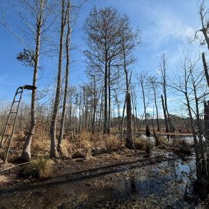 Photo #18 of Off JA Carroll Road, Bladenboro, NC 44.4 acres