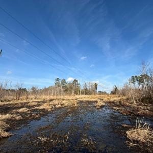 Photo #19 of Off JA Carroll Road, Bladenboro, NC 44.4 acres