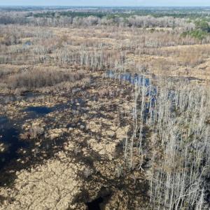 Photo #21 of Off JA Carroll Road, Bladenboro, NC 44.4 acres