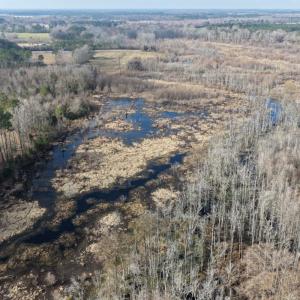 Photo #22 of Off JA Carroll Road, Bladenboro, NC 44.4 acres