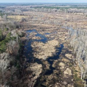 Photo #23 of Off JA Carroll Road, Bladenboro, NC 44.4 acres