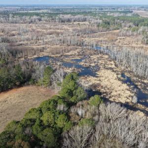 Photo #24 of Off JA Carroll Road, Bladenboro, NC 44.4 acres