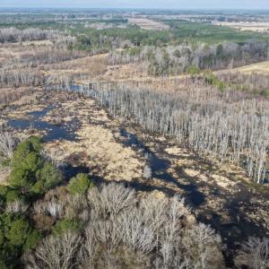 Photo #25 of Off JA Carroll Road, Bladenboro, NC 44.4 acres