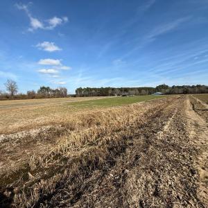 Photo #29 of Off JA Carroll Road, Bladenboro, NC 44.4 acres