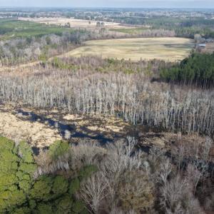 Photo #32 of Off JA Carroll Road, Bladenboro, NC 44.4 acres