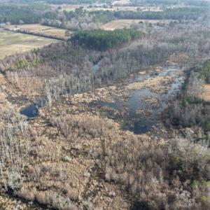 Photo #35 of Off JA Carroll Road, Bladenboro, NC 44.4 acres