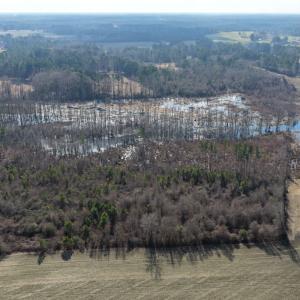 Photo #39 of Off JA Carroll Road, Bladenboro, NC 44.4 acres