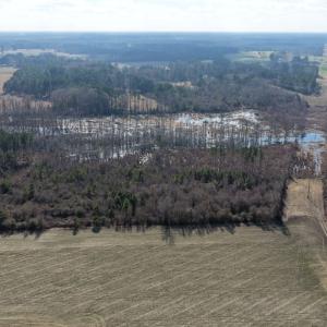 Photo #40 of Off JA Carroll Road, Bladenboro, NC 44.4 acres