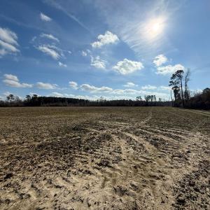 Photo #42 of Off JA Carroll Road, Bladenboro, NC 44.4 acres
