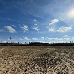 Photo #43 of Off JA Carroll Road, Bladenboro, NC 44.4 acres