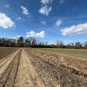 Photo #45 of Off JA Carroll Road, Bladenboro, NC 44.4 acres