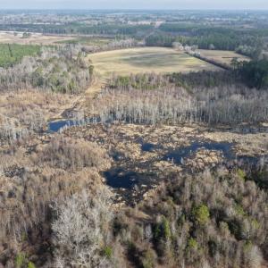 Photo #47 of Off JA Carroll Road, Bladenboro, NC 44.4 acres