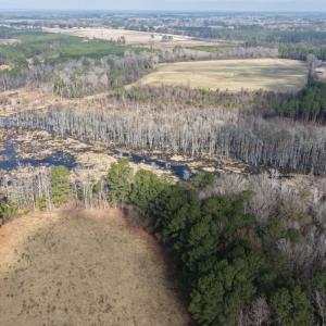 Photo #49 of Off JA Carroll Road, Bladenboro, NC 44.4 acres