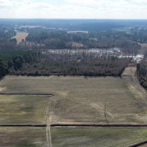 Photo #57 of Off JA Carroll Road, Bladenboro, NC 44.4 acres