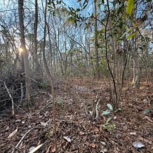 Photo #15 of Off NC 410 Hwy, Bladenboro, NC 14.5 acres