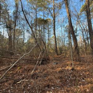Photo #20 of Off NC 410 Hwy, Bladenboro, NC 14.5 acres