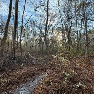 Photo #21 of Off NC 410 Hwy, Bladenboro, NC 14.5 acres