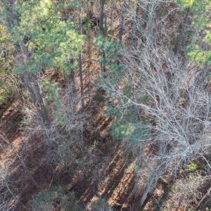 Photo #25 of Off NC 410 Hwy, Bladenboro, NC 14.5 acres