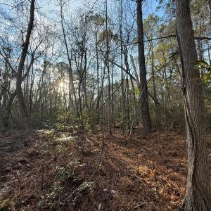 Photo #26 of Off NC 410 Hwy, Bladenboro, NC 14.5 acres