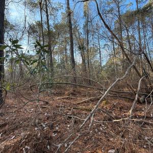 Photo #27 of Off NC 410 Hwy, Bladenboro, NC 14.5 acres