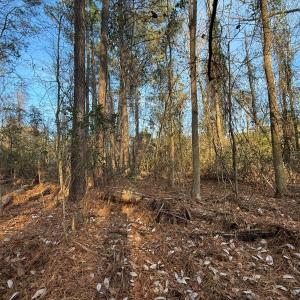 Photo #28 of Off NC 410 Hwy, Bladenboro, NC 14.5 acres