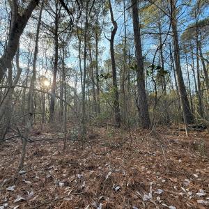 Photo #30 of Off NC 410 Hwy, Bladenboro, NC 14.5 acres