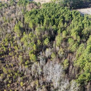 Photo #32 of Off NC 410 Hwy, Bladenboro, NC 14.5 acres