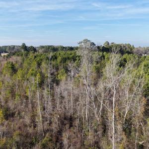 Photo #33 of Off NC 410 Hwy, Bladenboro, NC 14.5 acres