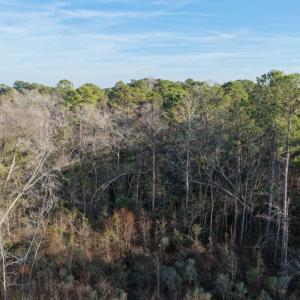 Photo #34 of Off NC 410 Hwy, Bladenboro, NC 14.5 acres