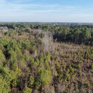 Photo #37 of Off NC 410 Hwy, Bladenboro, NC 14.5 acres