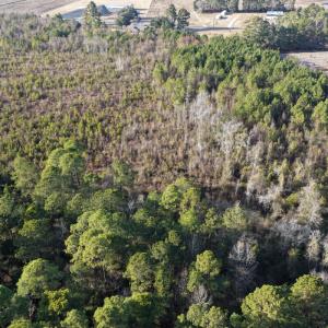 Photo #40 of Off NC 410 Hwy, Bladenboro, NC 14.5 acres