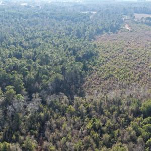 Photo #5 of Off NC 410 Hwy, Bladenboro, NC 14.5 acres